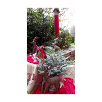 Χριστουγεννιάτικος στολισμός ελαφάκια