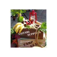 Στολισμός σαφάρι/ζώα της ζούγκλας