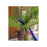 Στολισμός Surfs-Aloha