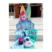 Στολισμός Surfs-Aloha