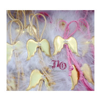 Μαρτυρικά μπρούτζινα φτερά αγγέλου ροζ